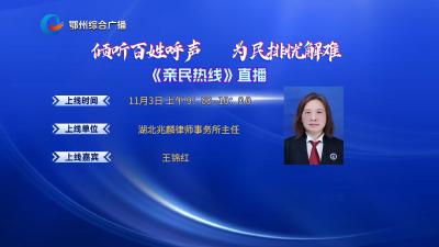 亲民热线——律师在线