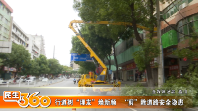 行道树“理发”焕新颜   “剪”除道路安全隐患