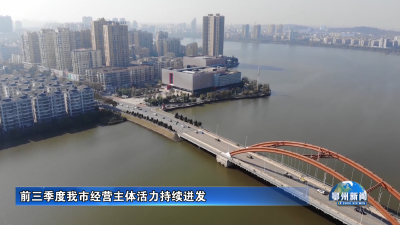 前三季度我市经营主体活力持续迸发