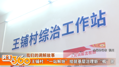 我们的调解故事