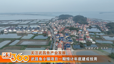 武昌鱼小镇项目一期预计年底建成投用