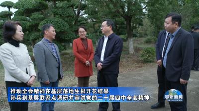 孙兵到基层联系点调研并宣讲党的二十届四中全会精神