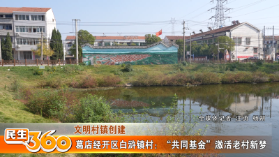 葛店经开区白浒镇村：“共同基金”激活老村新梦