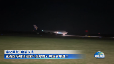 花湖国际机场迎来印度冰鲜石斑鱼首单进口