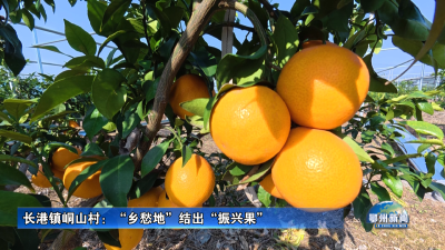 长港镇峒山村：“乡愁地”结出“振兴果”