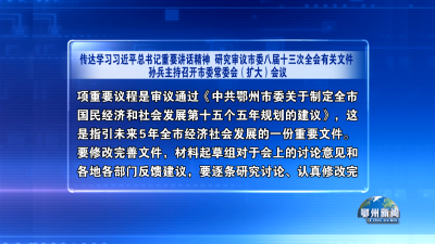 孙兵主持召开市委常委会（扩大）会议