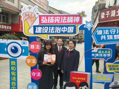 联动普法强意识 宪法护航新征程——梁子湖区开展“‘宪法’在打卡 我来合个影”“12·4国家宪法日”集中宣传活动