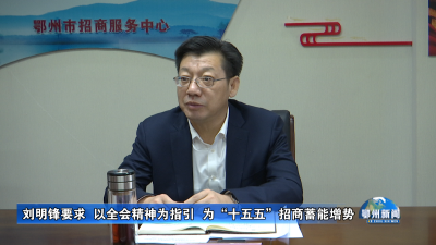 刘明锋要求  以全会精神为指引  为“十五五”招商蓄能增势