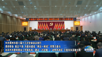 中共鄂州市委八届十三次全体会议举行