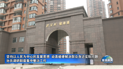 孙兵调研群腐集中整治工作