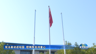 宪法晨读进校园  铿锵誓言润童心