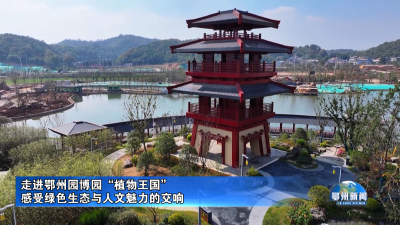 感受绿色生态与人文魅力的交响