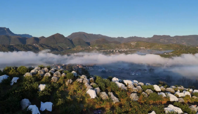 深山橘红时：从“铁脚板”到“云翅膀” 两代橘农的共富答卷