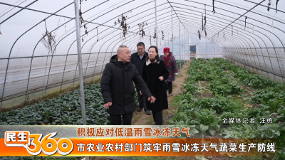 市农业农村部门筑牢雨雪冰冻天气蔬菜生产防线