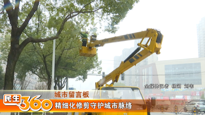精细化修剪守护城市脉络