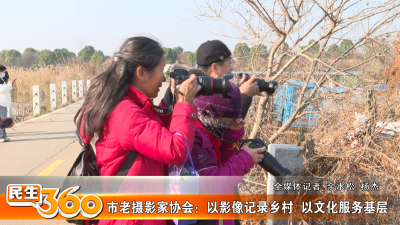 市老摄影家协会：以影像记录乡村  以文化服务基层