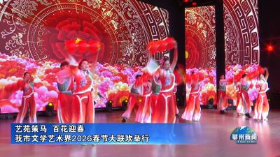 我市文学艺术界2026春节大联欢举行