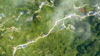 宜昌高山乡村“变形记”：靠“一片叶子”实现人均收入翻倍