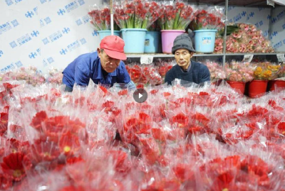 新春走基层丨日出货4万支！鄂东南“鲜花年货”飞赴大江南北