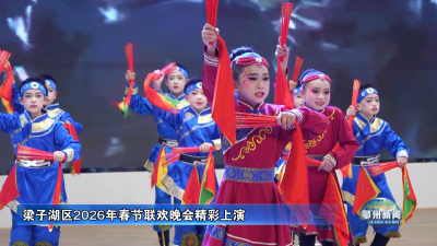 梁子湖区2026年春节联欢晚会精彩上演
