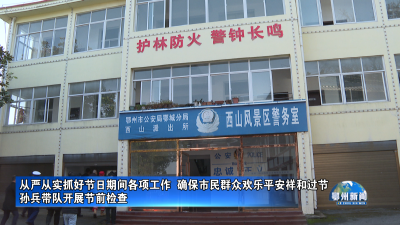 从严从实抓好节日期间各项工作  确保市民群众欢乐平安祥和过节