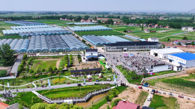 村里的“年终奖”，藏着共富密码