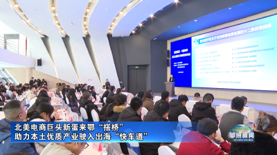 北美电商巨头新蛋来鄂“搭桥”