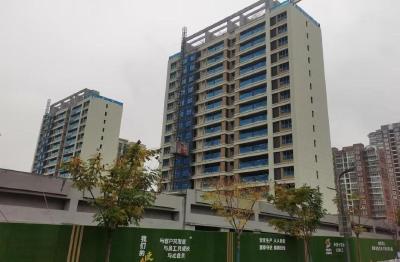 新春走基层 | 家乡焕新颜 “惊艳”归乡人