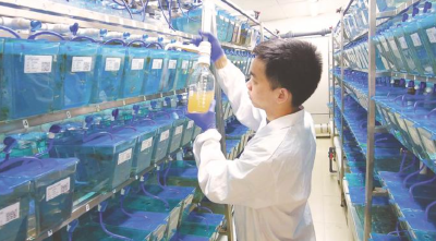 新春走基层｜春节科研忙，支点建设劲头足