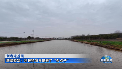 新闻特写：科技特派员送来了“金点子”