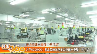 湖北芯映光电全力冲刺一季度“开门红”