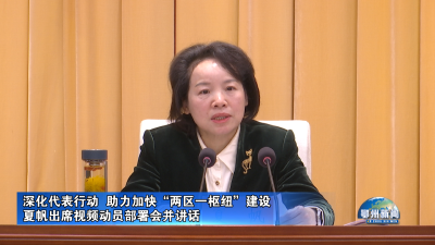 夏帆出席视频动员部署会并讲话