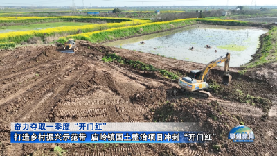 打造乡村振兴示范带  庙岭镇国土整治项目冲刺“开门红”