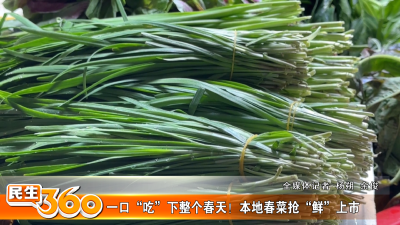 一口“吃”下整个春天！本地春菜抢“鲜”上市
