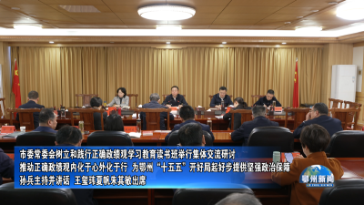 市委常委会树立和践行正确政绩观学习教育读书班举行集体交流研讨