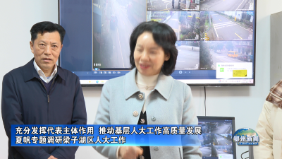 夏帆专题调研梁子湖区人大工作