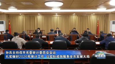 孙兵主持召开市委审计委员会会议