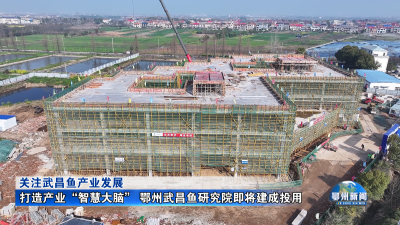 打造产业“智慧大脑” 鄂州武昌鱼研究院即将建成投用