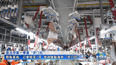 鄂鱼美尚：订单排至7月  技改赋能海外“开门红”