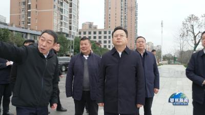 孙兵调研城市更新及“疤痕”治理工作