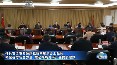 凝聚各方智慧力量  推动跨境电商产业提质增效