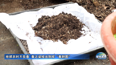 抢抓农时不负春  春之染绘出别样“春耕图”