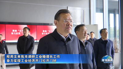 程用文来我市调研工业稳增长工作