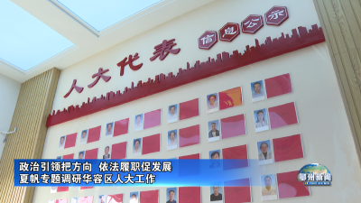 夏帆专题调研华容区人大工作