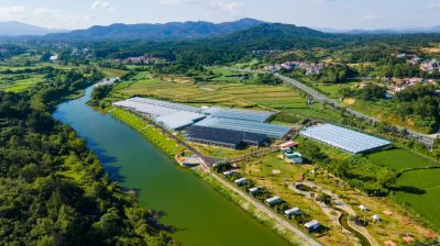 武汉黄陂姚家集：从“一处美”到“全域美”的乡村振兴新探索