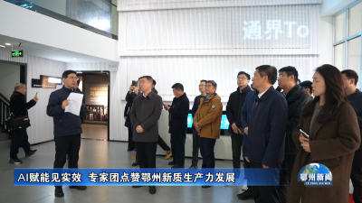 AI赋能见实效  专家团点赞鄂州新质生产力发展