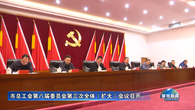 市总工会第八届委员会第三次全体（扩大）会议召开