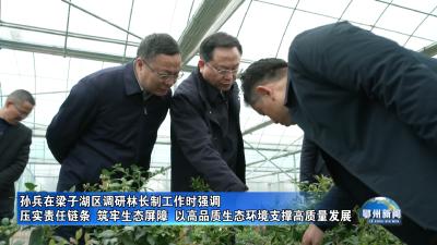 孙兵在梁子湖区调研林长制工作时强调