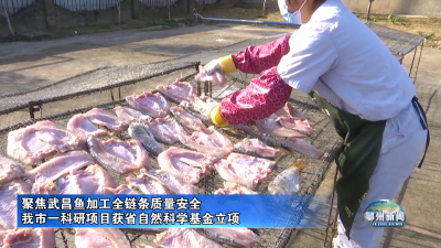 我市一科研项目获省自然科学基金立项