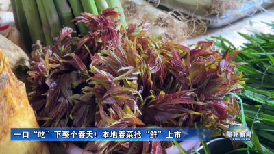 一口“吃”下整个春天！本地春菜抢“鲜”上市